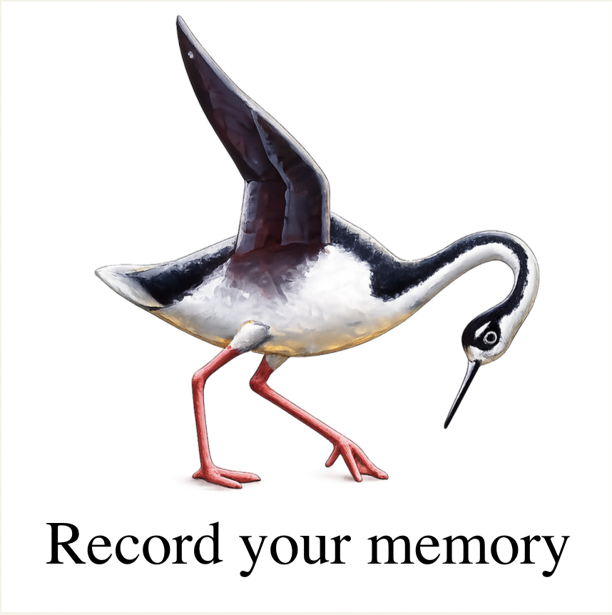 Record your memory